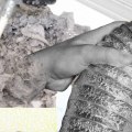 The Benefits of Professional Dryer Vent Cleaning Services